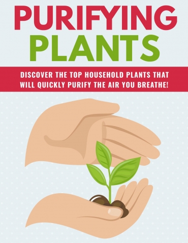 Purifying Plants eBook