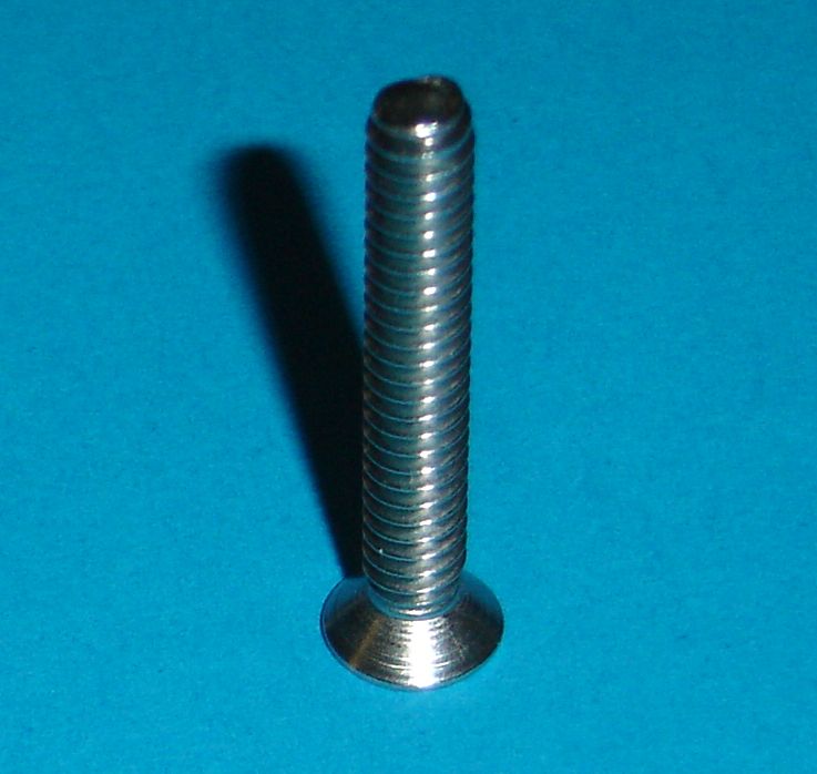 Whitco Security Door Cylinder Retaining Stainless Steel Screws