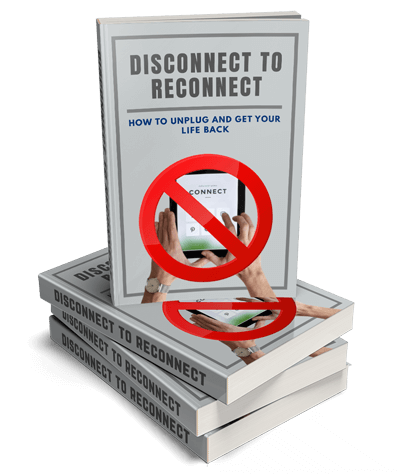 Disconnect To Reconnect eBook